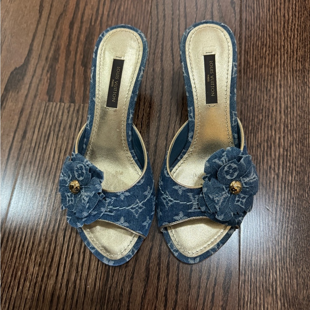 Louis Vuitton shoes